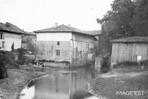 Moulin (Triaucourt)